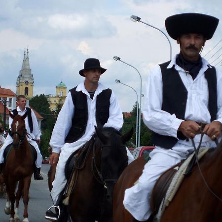 Bed and Breakfast Rezkakas Fogado Zirc Zewnętrze zdjęcie