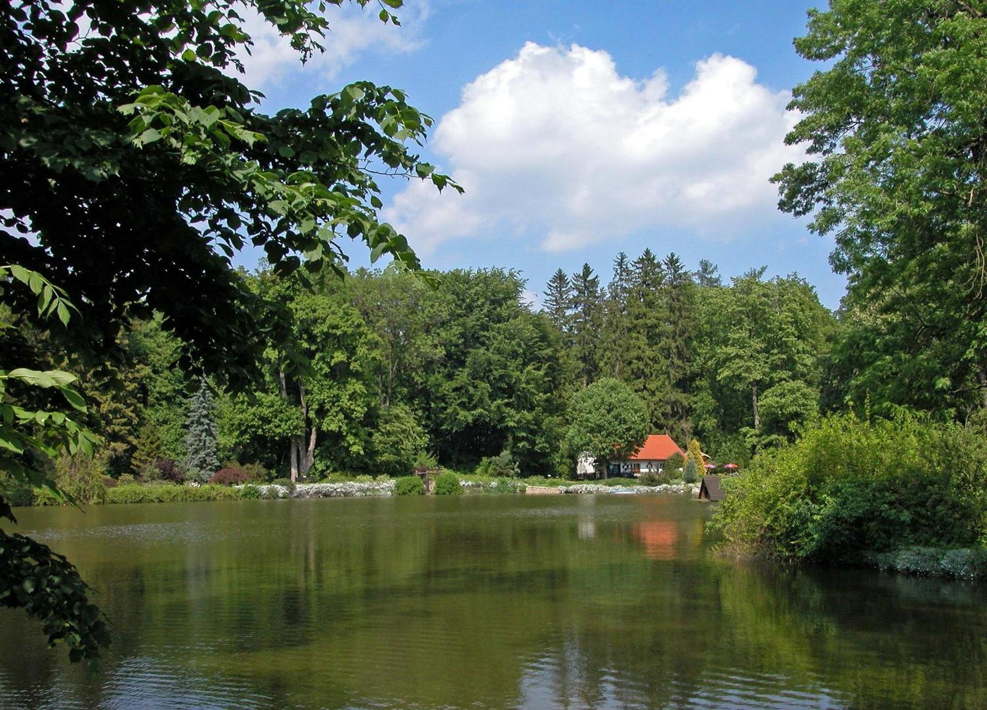 Bed and Breakfast Rezkakas Fogado Zirc Zewnętrze zdjęcie